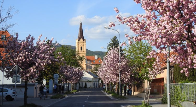 Nitra - miesta na Slovensku