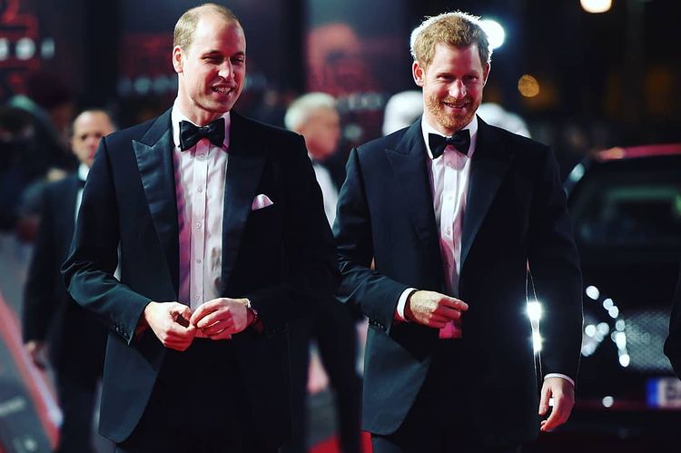 princovia William a Harry