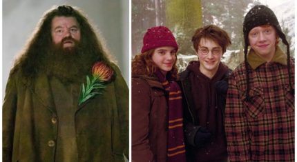 Hagrid z Harryho Pottera