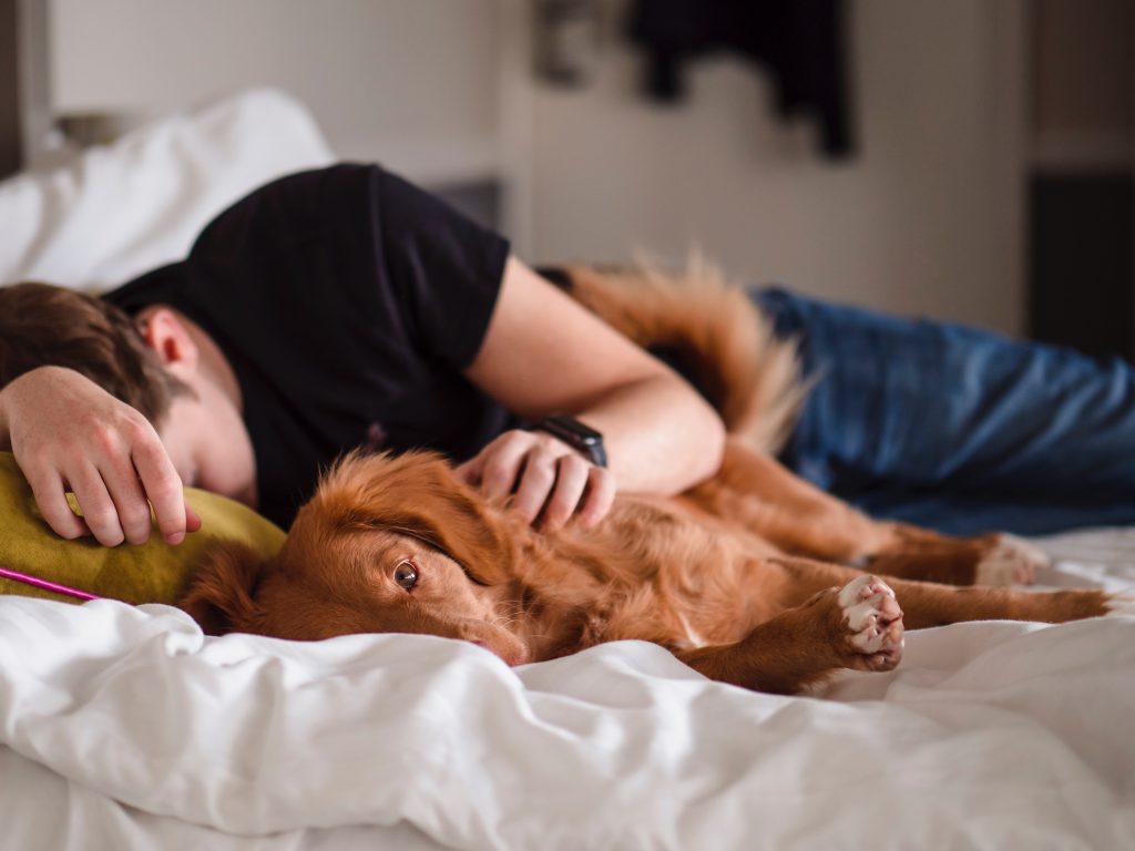 Muž a pes v posteli. 