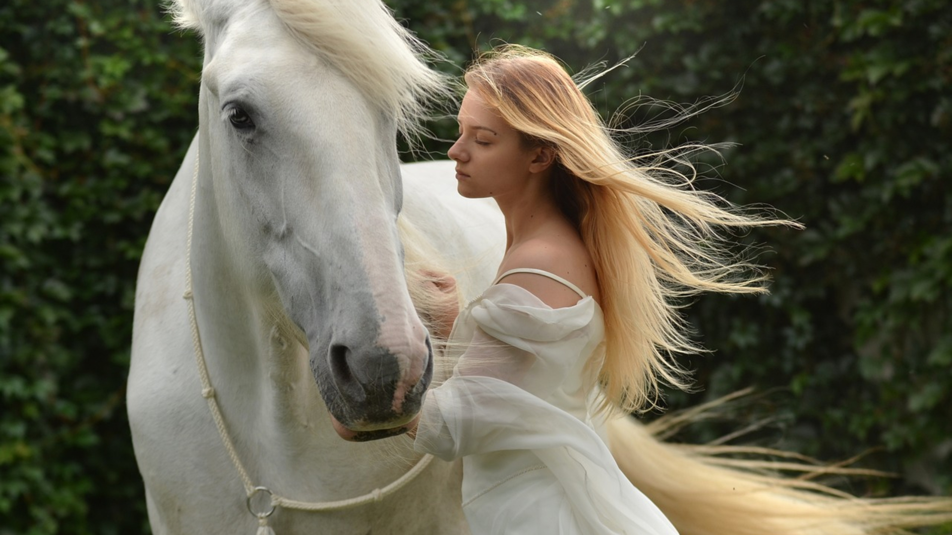 žena a kôň
