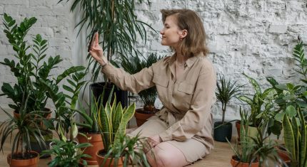 Žena sa stará o izbové rastliny
