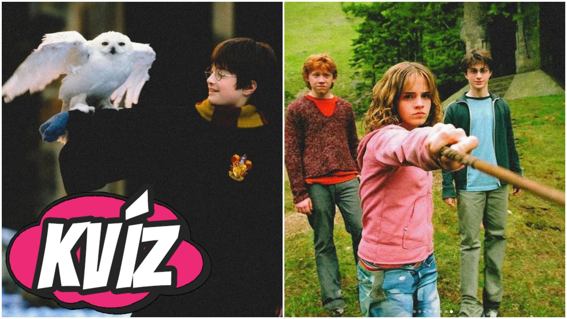 Otestuj sa, či poznáš Harry Potter filmy naozaj dobre