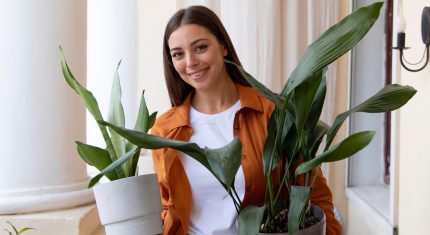 Tieto rastliny prinesú do tvojho domova zdravie a šťastie