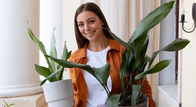 Tieto rastliny prinesú do tvojho domova zdravie a šťastie