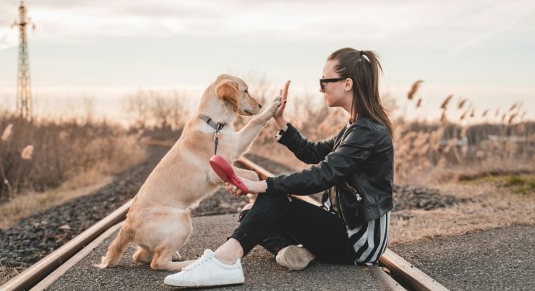 Takto ti ovplyvňuje život podľa psychologičky tvoj štvornohý priateľ