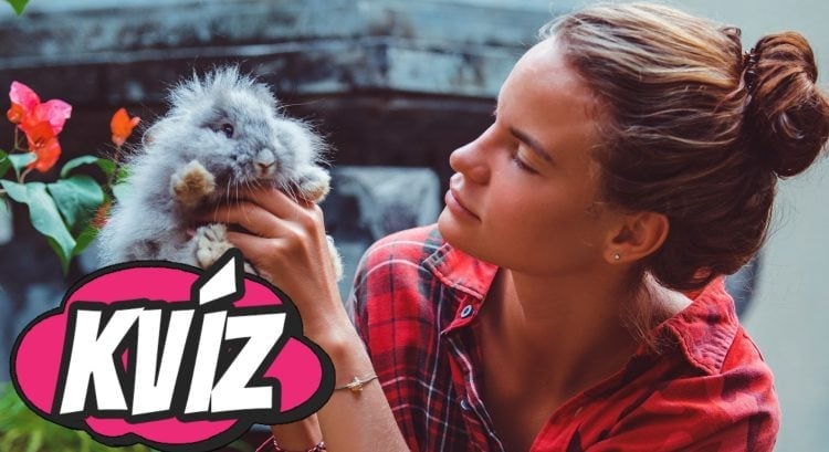 Zvieratá a fakty o nich - vieš čo je lož