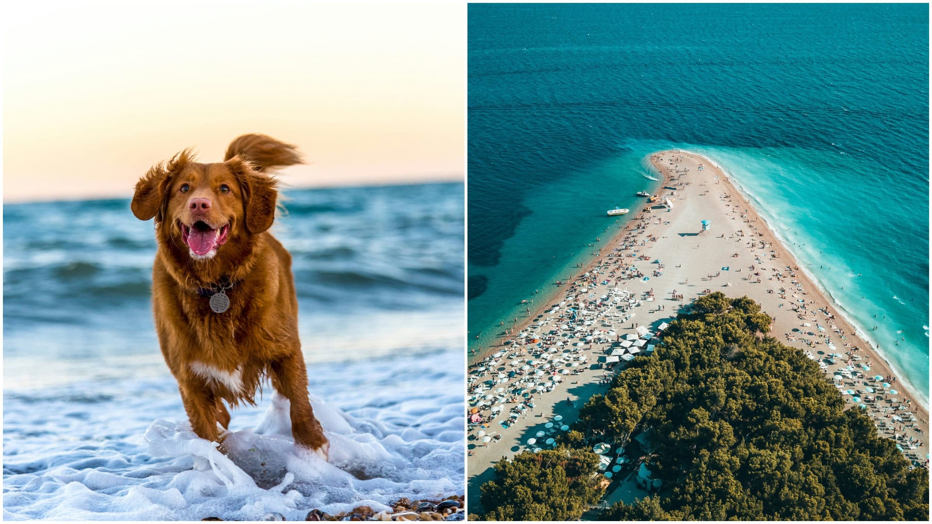 Najlepšie dog friendly pláže v Chorvátsku