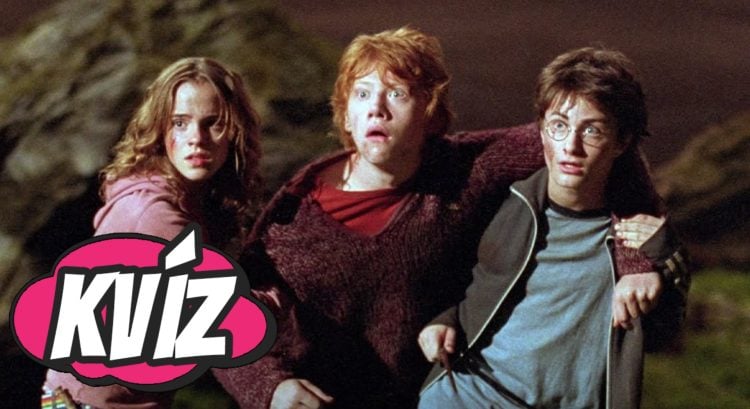 Si skutočný fanúšik Harry Pottera_