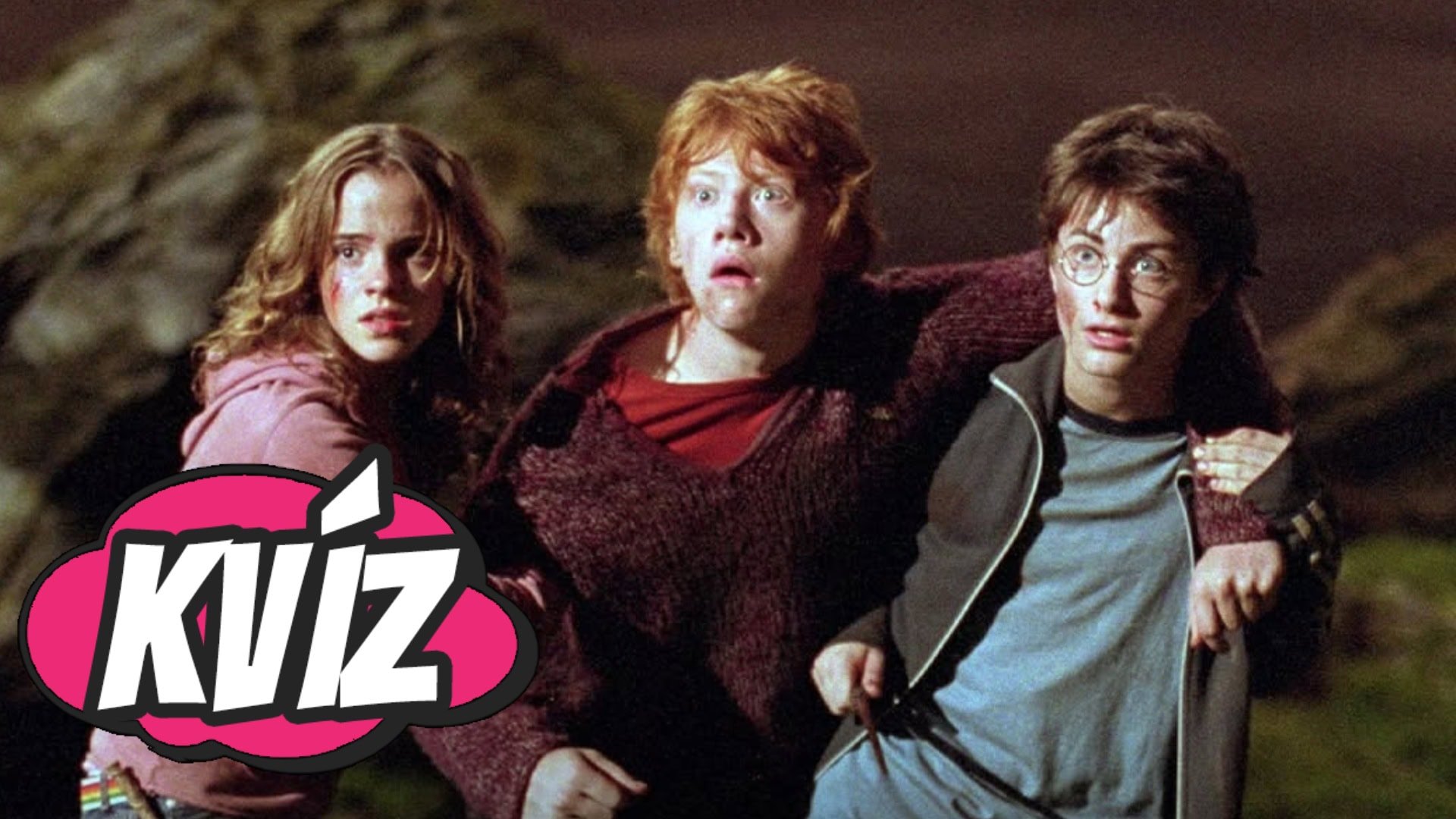 Si skutočný fanúšik Harry Pottera_