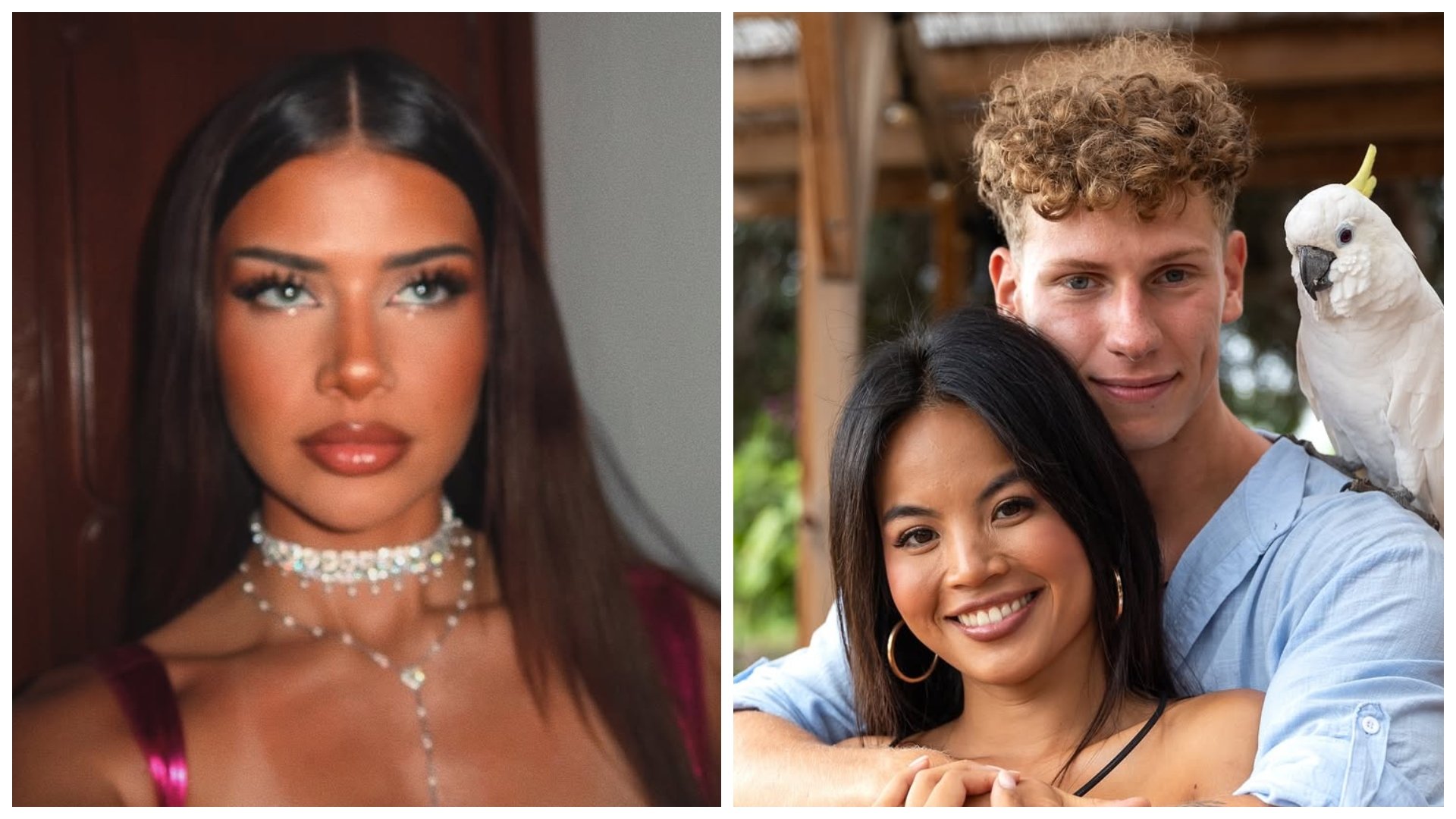 Domi, Pája a Yeni zo šou Love Island